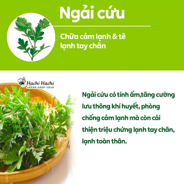 Mieng-chong-moi-chan-2-mieng-ngai-cuu.jpg